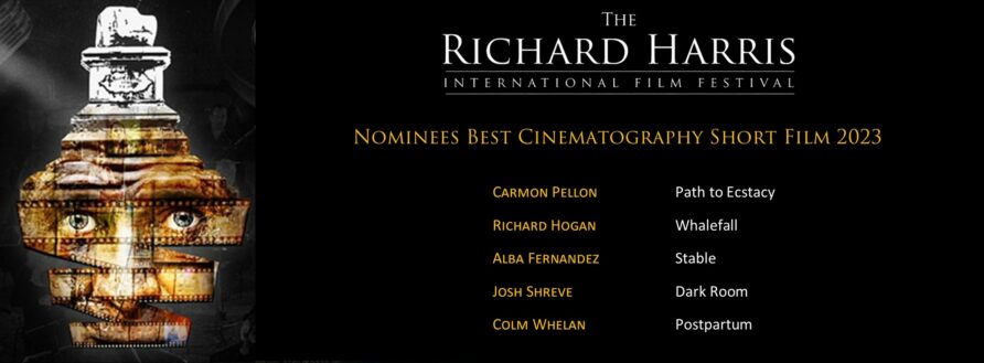 Cinematography short film nominees