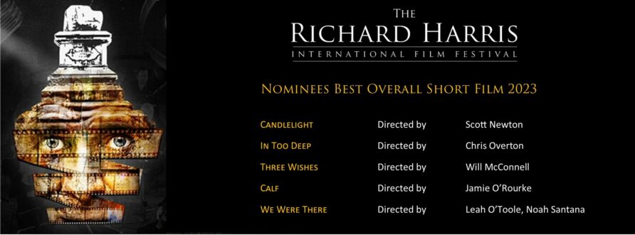 Overall short film nominees