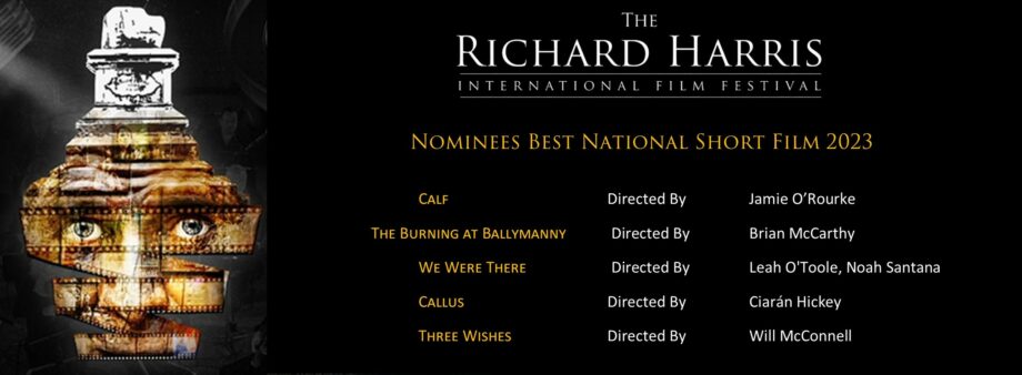 Best National Short nominees